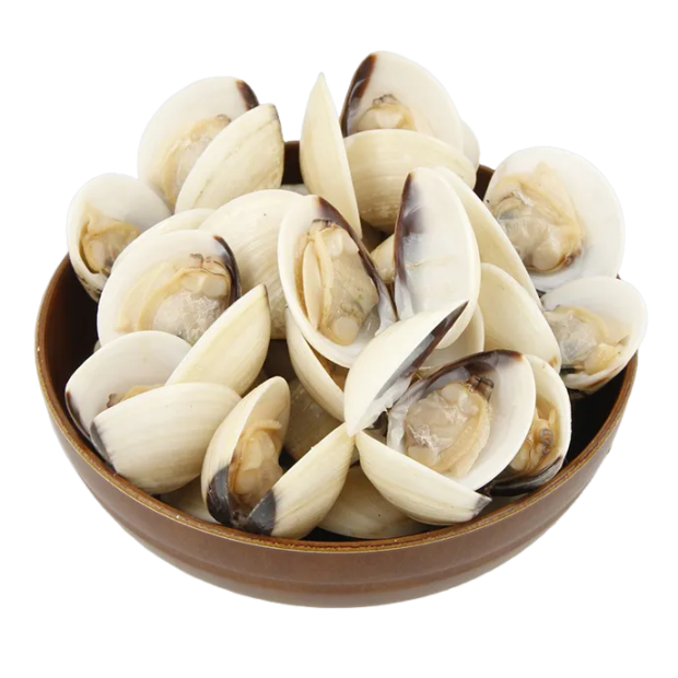 Cooked White Clam (60-80) - 1kg